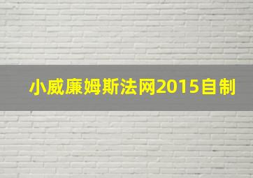 小威廉姆斯法网2015自制