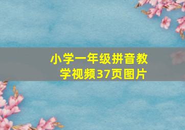 小学一年级拼音教学视频37页图片