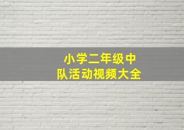 小学二年级中队活动视频大全