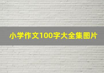 小学作文100字大全集图片