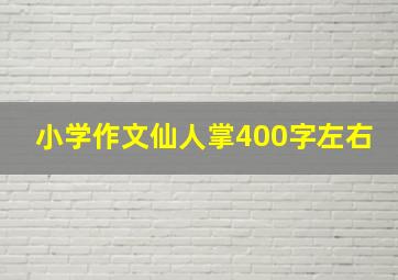 小学作文仙人掌400字左右