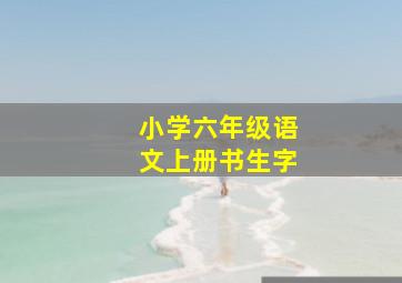 小学六年级语文上册书生字