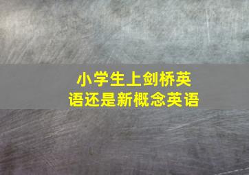 小学生上剑桥英语还是新概念英语