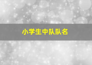 小学生中队队名