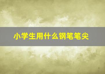 小学生用什么钢笔笔尖