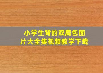 小学生背的双肩包图片大全集视频教学下载