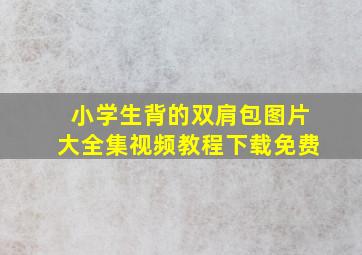 小学生背的双肩包图片大全集视频教程下载免费