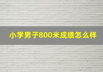 小学男子800米成绩怎么样