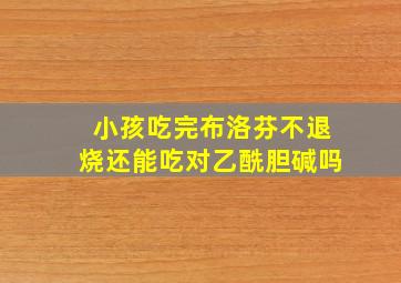 小孩吃完布洛芬不退烧还能吃对乙酰胆碱吗