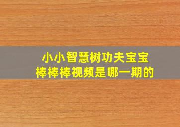 小小智慧树功夫宝宝棒棒棒视频是哪一期的