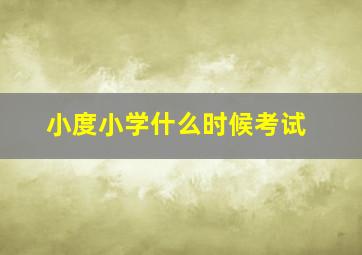 小度小学什么时候考试