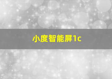 小度智能屏1c