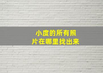 小度的所有照片在哪里找出来