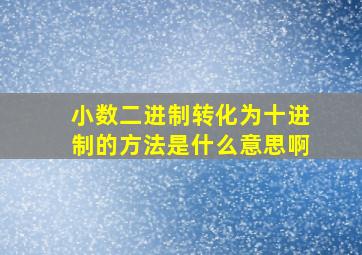 小数二进制转化为十进制的方法是什么意思啊