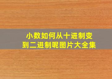 小数如何从十进制变到二进制呢图片大全集