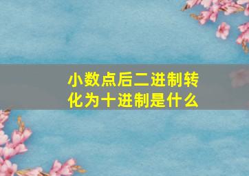 小数点后二进制转化为十进制是什么