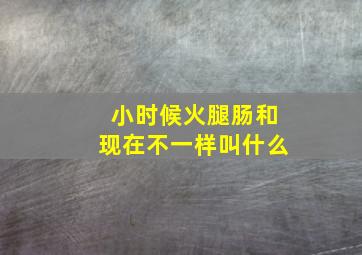 小时候火腿肠和现在不一样叫什么