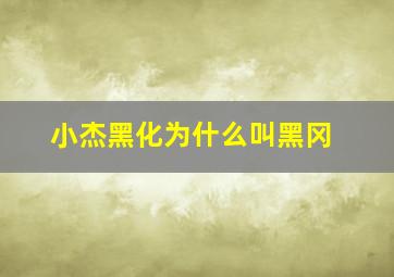 小杰黑化为什么叫黑冈