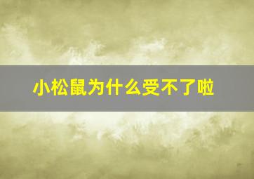 小松鼠为什么受不了啦