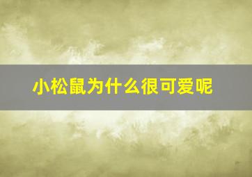 小松鼠为什么很可爱呢