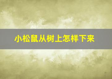 小松鼠从树上怎样下来