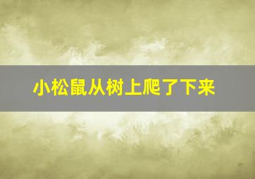 小松鼠从树上爬了下来