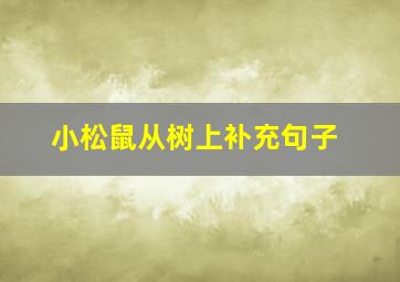 小松鼠从树上补充句子