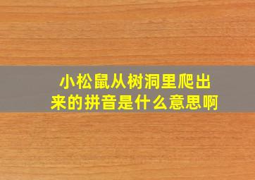 小松鼠从树洞里爬出来的拼音是什么意思啊