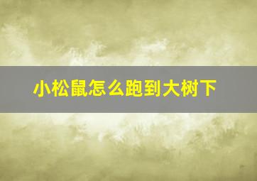 小松鼠怎么跑到大树下