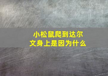 小松鼠爬到达尔文身上是因为什么