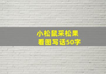 小松鼠采松果看图写话50字