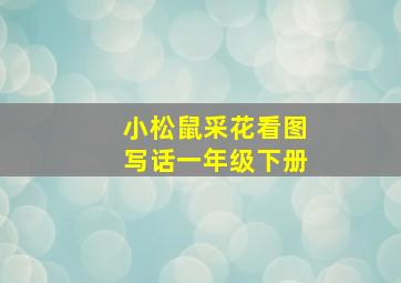 小松鼠采花看图写话一年级下册