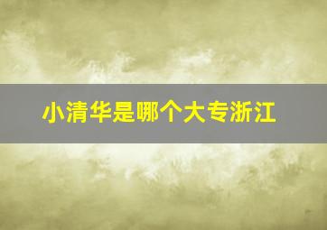 小清华是哪个大专浙江