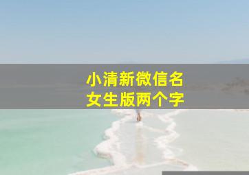 小清新微信名女生版两个字