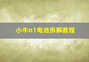 小牛n1电池拆解教程