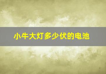 小牛大灯多少伏的电池