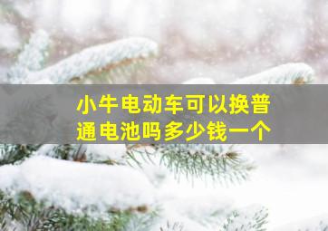 小牛电动车可以换普通电池吗多少钱一个