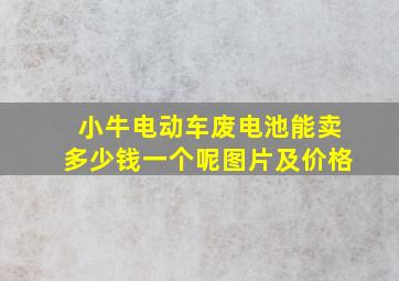 小牛电动车废电池能卖多少钱一个呢图片及价格