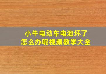 小牛电动车电池坏了怎么办呢视频教学大全