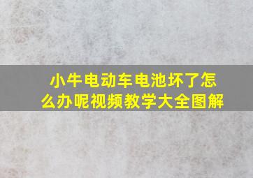 小牛电动车电池坏了怎么办呢视频教学大全图解