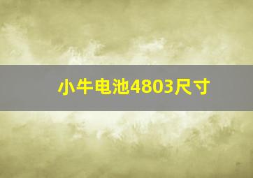 小牛电池4803尺寸