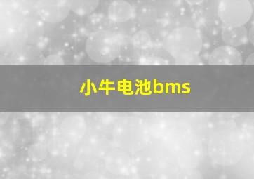 小牛电池bms