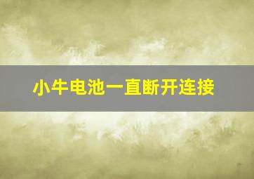 小牛电池一直断开连接