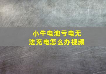 小牛电池亏电无法充电怎么办视频