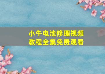 小牛电池修理视频教程全集免费观看