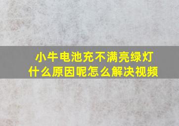 小牛电池充不满亮绿灯什么原因呢怎么解决视频