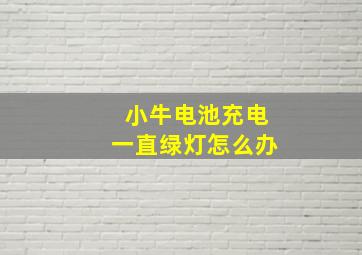 小牛电池充电一直绿灯怎么办