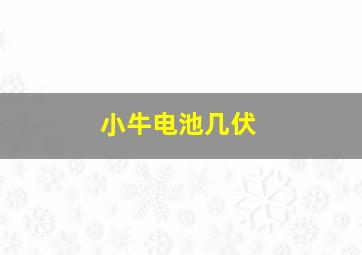 小牛电池几伏