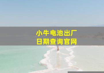 小牛电池出厂日期查询官网