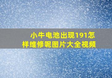 小牛电池出现191怎样维修呢图片大全视频